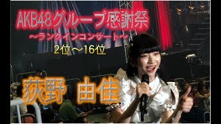 ☆荻野由佳 推し席☆ AKB48G in横浜アリーナ AKB48感謝祭～ランクインコンサート～2位～16位《AKB48 SKE48 NMB48 HKT48 NGT48 STU48/20180802》