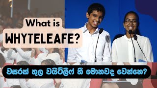 What is WHYTELEAFE? | වසරක් තුල වයිට්ලීෆ් හී මොනවද වෙන්නෙ?  | What happens at Whyteleafe?