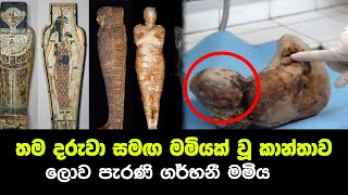 ලොව පැරණි ගර්භනී මමිය...