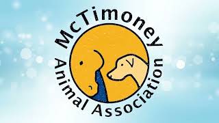 What are McTimoney Animal Chiropractic Practitioners?