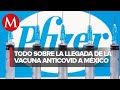 Este miércoles 23 de diciembre llega a México el primer lote de vacunas contra covid-19 de Pfizer