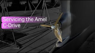 Servicing the Amel C-Drive