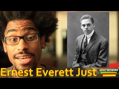 What high school did Ernest Everett go to?