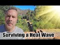 Keeping the Garden Alive in a Heat Wave / Garden Tour