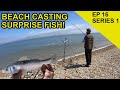 Beach Fishing Species Hunt: Chasing Scales Species Hunt  (EPISODE 16)