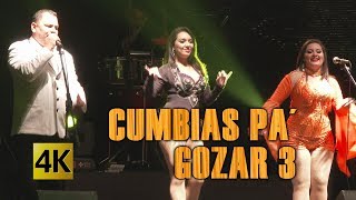 Cumbias Pa´ Gozar 3 / Calidad 4K / El Ciclon, Bailando, No Provoques Mi Pichichi, Seis De La Mañana