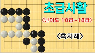 초급사활 #87 ( 8문제 난이도 10급~18급 )