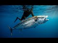 Spearfishing 40kg Dogtooth tuna at 28m in Zanzíbar! #shorts