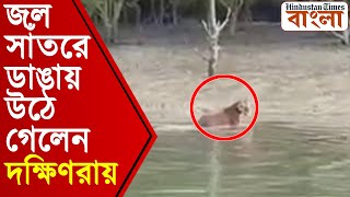 জল সাঁতরে নয়া ডেরায় রাজকীয় স্টাইলে দক্ষিণরায়! সুন্দরবনে বাঘ দেখার অনন্য স্বাদ পর্যটকদের