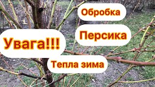 ОБРОБКА  ПЕРСИК НЕКТАРИН Осіньо-Зимова Основна ОБРОБКА.