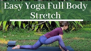 Easy Yoga Full Body Stretch