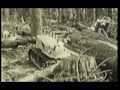 Allison Logging - Coastal Logging in the early 20th Century