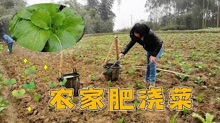 Sister picks manure to manage the vegetable garden, mother-in-law helps