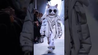 Catwalk 🐱 - Cat Fashion Show 🐾✨ #shorts #ai #cat ❤️‍🔥