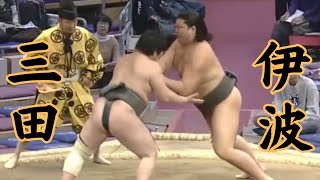 三田（二子山部屋）VS伊波 令和6年11月場4日目#sumo #相撲 #二子山部屋