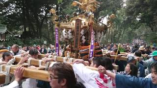 【4K】 平成30年 建国祭 祝賀神輿パレード 明治神宮参道 No.2