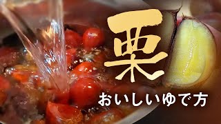 【栗】の美味しいゆで方｜カンタン栗ご飯！