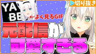 よくTwitterで見るGIF画像の元配信が可愛すぎる件について【ホロライブ切り抜き/白上フブキ/ホロライブ】