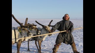 Nenets people of the Tundra