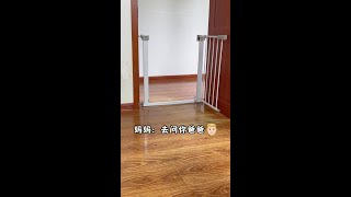 多么似曾相识相识的一幕！#萌宠出道计划   #万物可爱计划  #可爱在我家