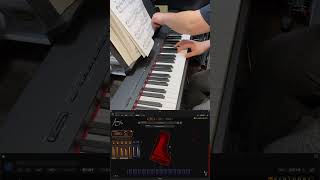 Ivory 3 American Concert D TEST 中村由利子 「サンセットハイム」