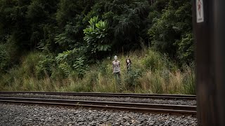 8 Rencontres les Plus Troublantes en Forêt Capturées par une Caméra