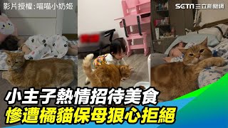 小主子熱情招待美食　慘遭橘貓保母狠心拒絕｜三立新聞網 SETN.com