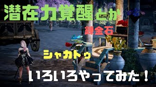 【黒い砂漠モバイル】潜在力覚醒・錬金石・シャカトゥといろいろやってみた！