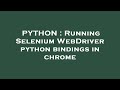 PYTHON : Running Selenium WebDriver python bindings in chrome