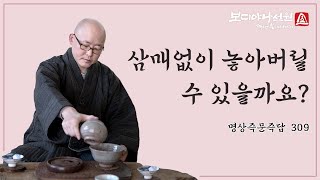 삼매없이 놓아버릴 수 있을까요?ㅣ명상 즉문즉답 309회ㅣ혜안스님