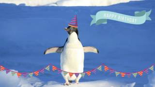 Happy Birthday Penguin