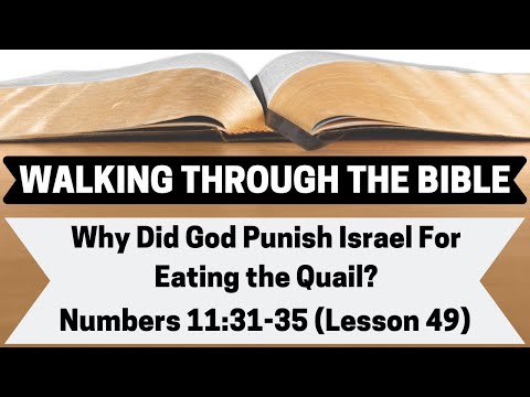 Did the Israelites get sick from eating quail?