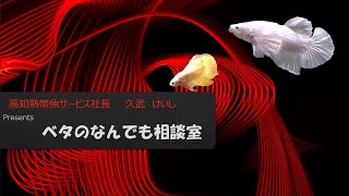 質問があります！Slow life !ベタの何でも相談室】2020年6月22日