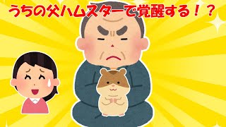 【2chほのぼの】うちの父 ハムスターで覚醒する！？