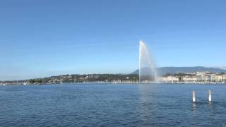 Downtown Geneve - Lac Laman - Jet D'Eau