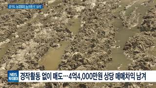 감사원 “경기도 11개 농업법인, 농지투기로 700억원 차익”