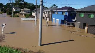 【台風19号】 越辺川氾濫④ 浸水（川越）