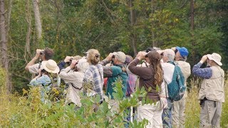 BHTV: Outstanding Bird Watching in Western North Carolina