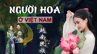 LỊCH SỬ NGƯỜI HOA Ở VIỆT NAM, TỪNG CHIẾM 20% DÂN SỐ, NHƯNG HIỆN NAY CUỘC SỐNG RA SAO?