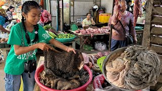 Market show \u0026 Cooking : Chef pich buy beef tripe and beef intestine for cooking - 3 country chefs