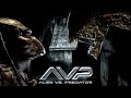 Alien vs. Predator (2004) Full Movie || Sanaa Lathan, Raoul Bova, Lance Henrikse || Review and Facts