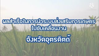 ผลสำเร็จในการนำระบบส่งเสริมการเกษตรไปขับเคลื่อนงาน จังหวัดอุตรดิตถ์