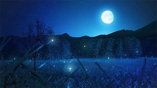 Night Ambient Sounds, Cricket, Swamp Sounds at Night, Sleep and Relaxation Meditation Sounds part 2
