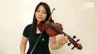 Ed Sheeran - Perfect(Violin Cover)