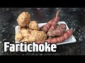 Jerusalem Artichoke Review (Sunchoke) - Weird Fruit Explorer