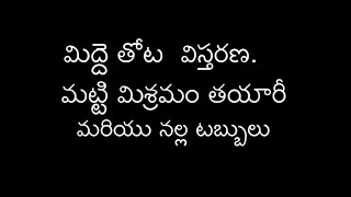 మా మిద్దె తోట  విస్తరణ - #medhethota #teluguthanam #ammathanam #gardening #garden#terrace #garden