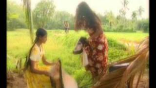 sri deevi wage.wmv