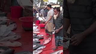 Paduar Bazar Fish Market-Cumilla- #shortvideo