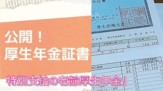 公開！！厚生年金証書【特別支給の老齢厚生年金】62歳で受け取る金額公開します・60代シニアVlog