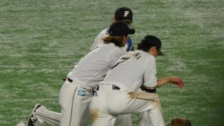 谷口雄也と陽岱鋼と西川遥輝の外野人 北海道日本ハムファイターズ